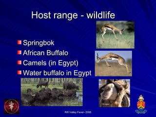 Host range  - wildlife Springbok African Buffalo  Camels (in Egypt)  Water buffalo in Egypt 