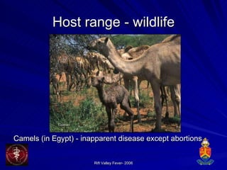 Host range  - wildlife Camels (in Egypt) - inapparent disease except abortions 