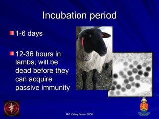 Incubation period 1-6 days 12-36 hours in lambs; will be dead before they can acquire passive immunity 