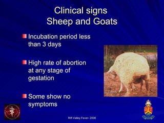 Clinical signs  Sheep and Goats Incubation period less than 3 days High rate of abortion at any stage of gestation Some show no symptoms 