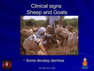 Clinical signs  Sheep and Goats Some develop diarrhea 