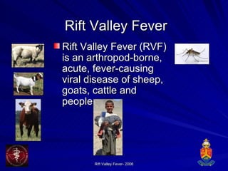Rift Valley Fever Rift Valley Fever (RVF) is an arthropod-borne, acute, fever-causing viral disease of sheep, goats, cattle and people.  