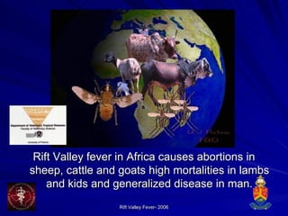 Rift Valley fever in Africa causes abortions in sheep, cattle and goats high mortalities in lambs and kids and generalized disease in man. 