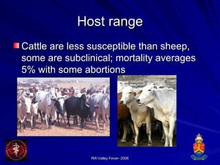 Host range Cattle are less susceptible than sheep, some are subclinical; mortality averages 5% with some abortions 