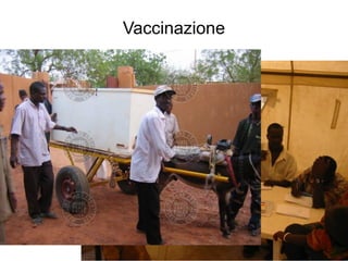 Vaccinazione

Pre-requisiti essenziali all’attività di vaccinazione sono :


-    la disponibilità dei Vaccini e del materiale relativo


-    una “catena del freddo” sicura


-    training specifico del personale vaccinatore


-    supervisione consapevole
 