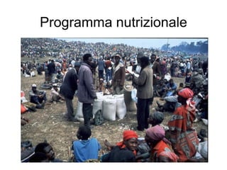 Programma nutrizionale
 