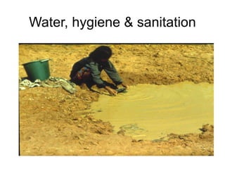 Water, hygiene & sanitation
 