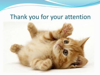 Thank you for your attention
 
