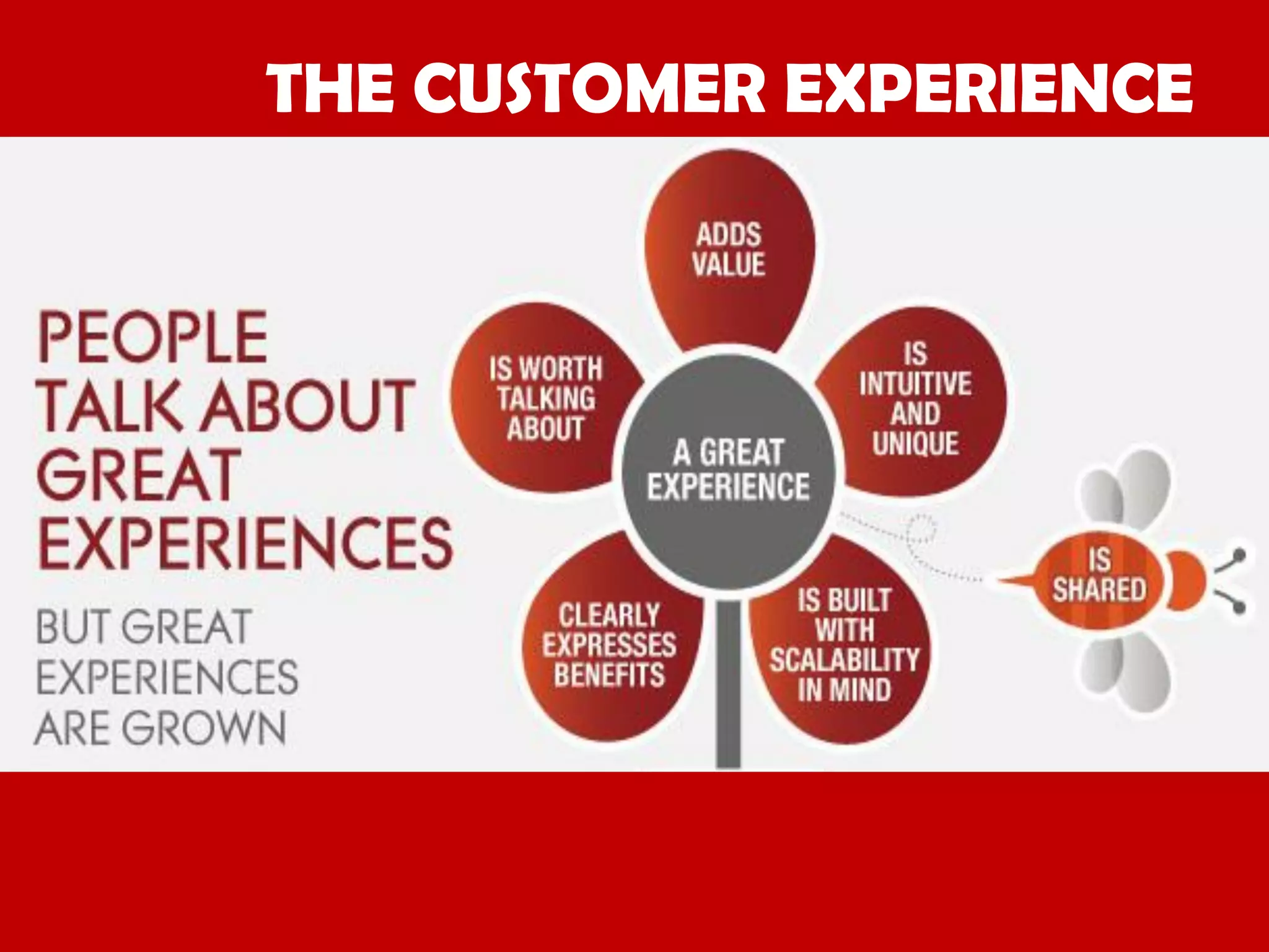 THE CUSTOMER EXPERIENCE

 