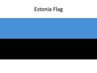 Estonia Flag
 