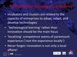 Technological learning of companies Incubators and clusters are related to the capacity of entreprises to adopt, adapt, and develop technologies ‘ technological learning’ rather than innovation should be the main focus ‘ localizing’ competence seems of paramount experience (‘root the experience locally’) Never forget: innovation is not only a local affaire! 