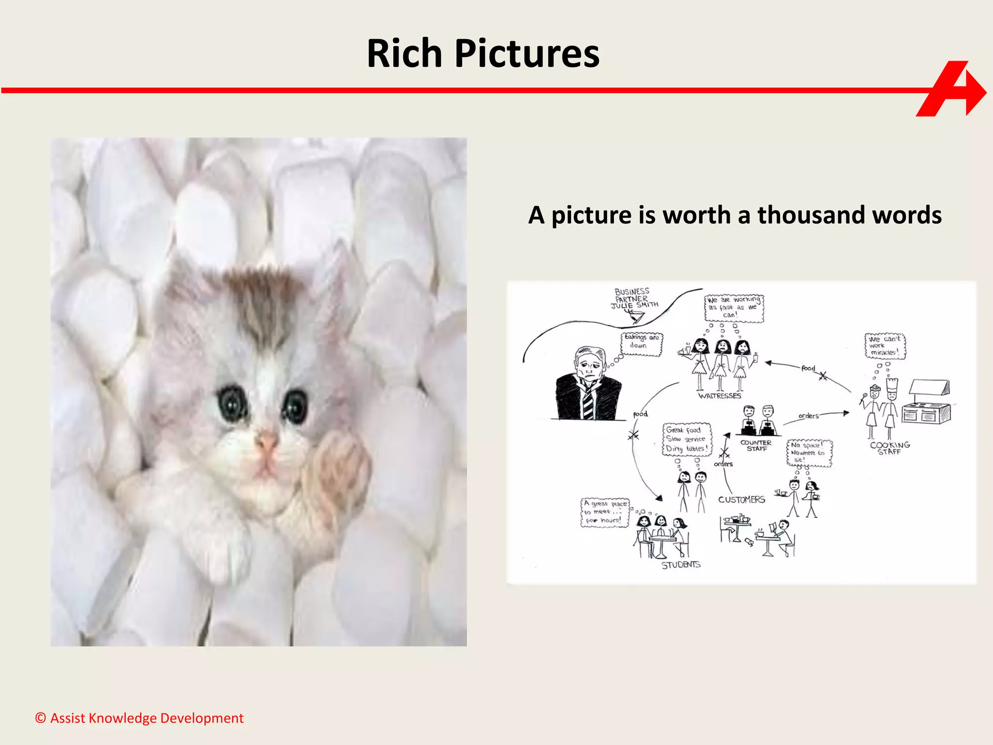 Rich Pictures

A picture is worth a thousand words

© Assist Knowledge Development

 