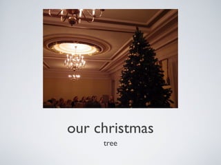 our christmas
tree

 