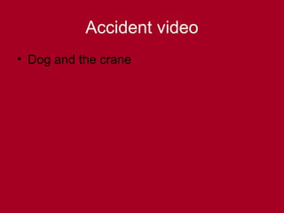 Accident video
• Dog and the crane
 
