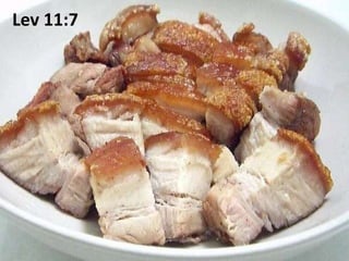 Lev 11:7
 