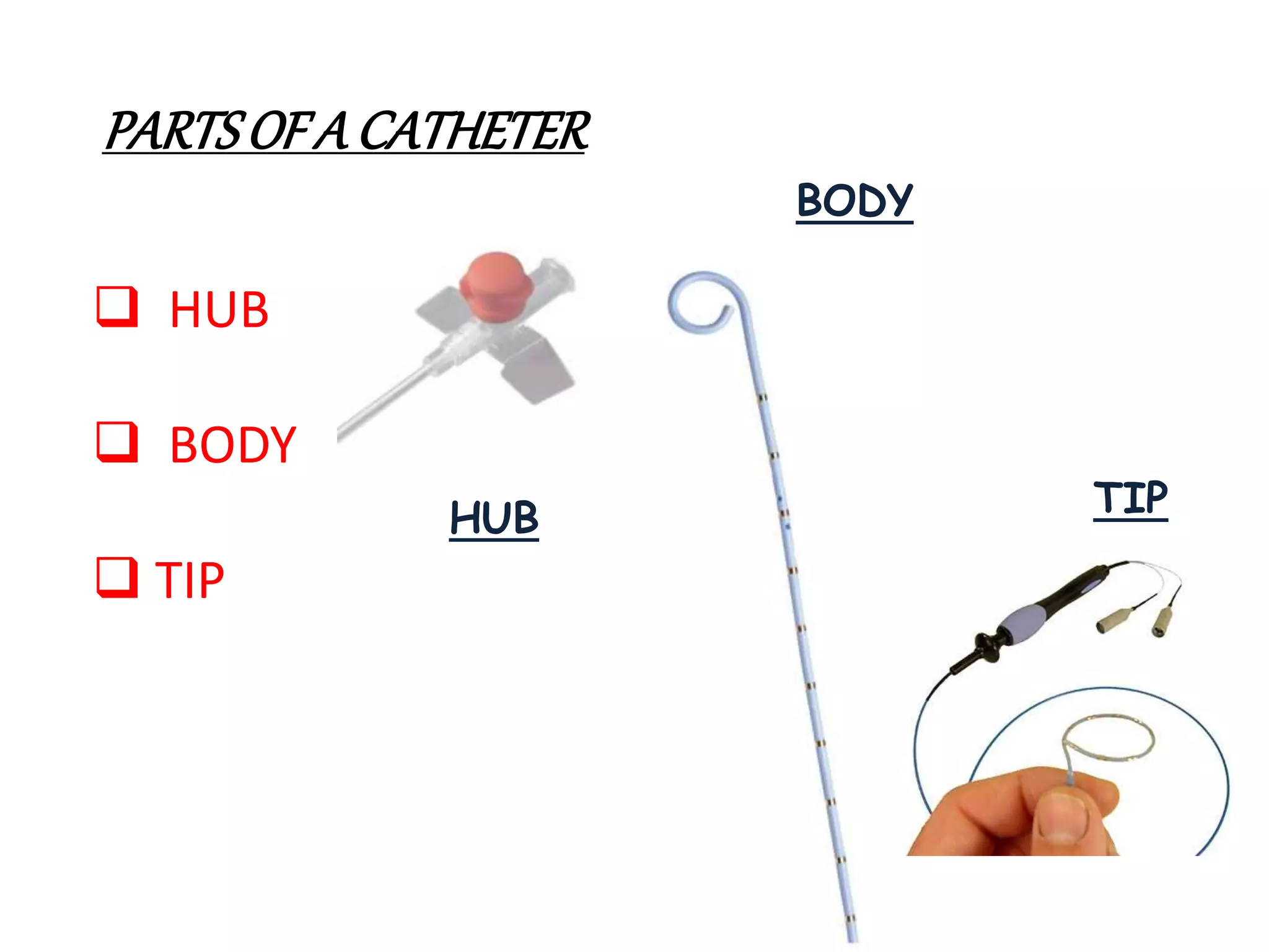 PARTSOF A CATHETER
 HUB
 BODY
 TIP
HUB
BODY
TIP
 