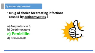 Question and answer:
•Drug of choice for treating infections
caused by actinomycetes ?
a) Amphotericin B
b) Co-trimoxazole
c) Penicillin
d) Itraconazole
 