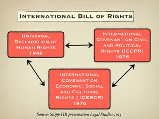 Collective Rights Sources Rights and Freedoms Part 1 | PDF