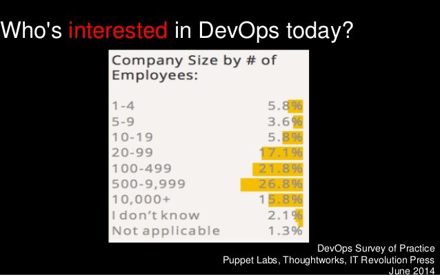 Rightscale Webinar The Devops Debate