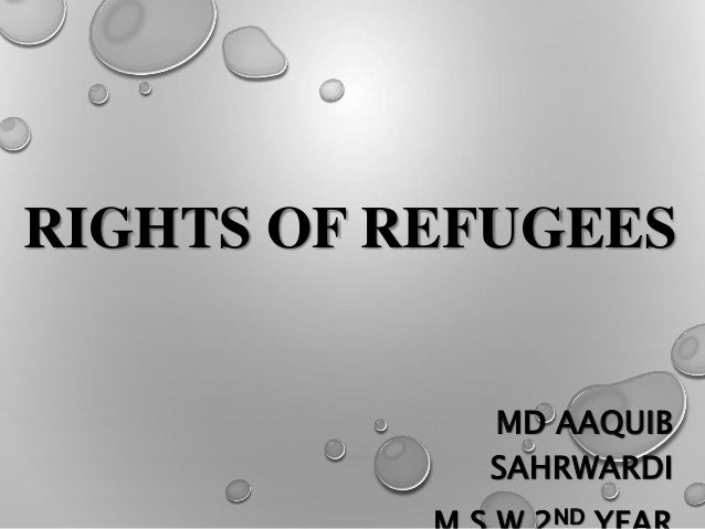 human rights of refugees essay 200 words