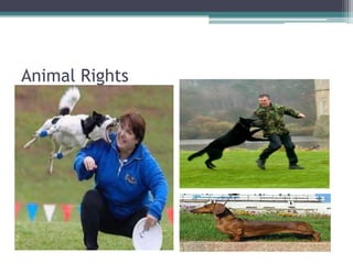 Rights Theory | PPTX