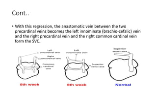 Cont..
• With this regression, the anastomotic vein between the two
precardinal veins becomes the left innominate (brachio-cefalic) vein
and the right precardinal vein and the right common cardinal vein
form the SVC.
 