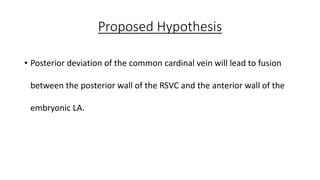 Proposed Hypothesis
• Posterior deviation of the common cardinal vein will lead to fusion
between the posterior wall of the RSVC and the anterior wall of the
embryonic LA.
 