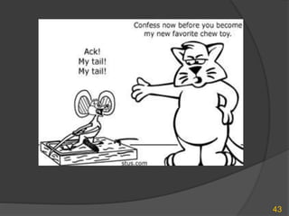 43
 
