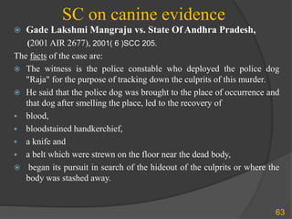 SC on canine evidence
63
 Gade Lakshmi Mangraju vs. State Of Andhra Pradesh,
(2001 AIR 2677), 2001( 6 )SCC 205.
The facts of the case are:
 The witness is the police constable who deployed the police dog
"Raja" for the purpose of tracking down the culprits of this murder.
 He said that the police dog was brought to the place of occurrence and
that dog after smelling the place, led to the recovery of
 blood,
 bloodstained handkerchief,
 a knife and
 a belt which were strewn on the floor near the dead body,
 began its pursuit in search of the hideout of the culprits or where the
body was stashed away.
 