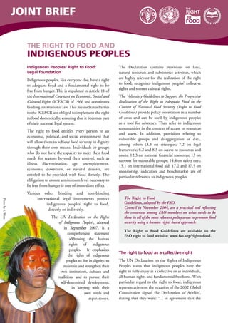 THE RIGHT TO FOD AND 
INDIGENOUS PEOPLES 
Indigenous Peoples’ Right to Food: 
Legal foundation 
Indigenous peoples, like everyone else, have a right 
to adequate food and a fundamental right to be 
free from hunger. This is stipulated in Article 11 of 
the International Covenant on Economic, Social and 
Cultural Rights (ICESCR) of 1966 and constitutes 
binding international law. This means states parties 
to the ICESCR are obliged to implement the right 
to food domestically, ensuring that it becomes part 
of their national legal system. 
The right to food entitles every person to an 
economic, political, and social environment that 
will allow them to achieve food security in dignity 
through their own means. Individuals or groups 
who do not have the capacity to meet their food 
needs for reasons beyond their control, such as 
illness, discrimination, age, unemployment, 
economic downturn, or natural disaster, are 
entitled to be provided with food directly. The 
obligation to ensure a minimum level necessary to 
be free from hunger is one of immediate effect. 
Various other binding and non-binding 
international legal instruments protect 
indigenous peoples’ right to food, 
directly or indirectly. 
The UN Declaration on the Rights 
of Indigenous Peoples2, adopted 
in September 2007, is a 
comprehensive statement 
addressing the human 
rights of indigenous 
peoples. It emphasizes 
the rights of indigenous 
peoples to live in dignity, to 
maintain and strengthen their 
own institutions, cultures and 
traditions and to pursue their 
self-determined development, 
in keeping with their 
own needs and 
aspirations. 
The Declaration contains provisions on land, 
natural resources and subsistence activities, which 
are highly relevant for the realization of the right 
to food, recognizes indigenous peoples’ collective 
rights and stresses cultural rights. 
The Voluntary Guidelines to Support the Progressive 
Realization of the Right to Adequate Food in the 
Context of National Food Security (Right to Food 
Guidelines) provide policy orientation in a number 
of areas and can be used by indigenous peoples 
as a tool for advocacy. They refer to indigenous 
communities in the context of access to resources 
and assets. In addition, provisions relating to 
vulnerable groups and disaggregation of data, 
among others (3.3 on strategies; 7.2 on legal 
framework; 8.2 and 8.3 on access to resources and 
assets; 12.3 on national financial resources; 13 on 
support for vulnerable groups; 14.4 on safety nets; 
15.1 on international food aid; 17.2 and 17.5 on 
monitoring, indicators and benchmarks) are of 
particular relevance to indigenous peoples. 
The right to food as a collective right 
The UN Declaration on the Rights of Indigenous 
Peoples states that indigenous peoples have the 
right to fully enjoy as a collective or as individuals, 
all human rights and fundamental freedoms. With 
particular regard to the right to food, indigenous 
representatives on the occasion of the 2002 Global 
Consultation signed the Declaration of Atitlán3, 
stating that they were: “... in agreement that the 
Photo by S. Wren 
Joint brief 
The Right to Food 
Guidelines, adopted by the FAO 
Council in November 2004, are a practical tool reflecting 
the consensus among FAO members on what needs to be 
done in all of the most relevant policy areas to promote food 
security using a human rights based approach. 
The Right to Food Guidelines are available on the 
FAO right to food website: www.fao.org/righttofood. 
 