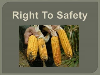 Consumer Right To Safety