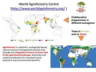 Right tree right place: vegetationmap4africa and Uganda Tree Finder