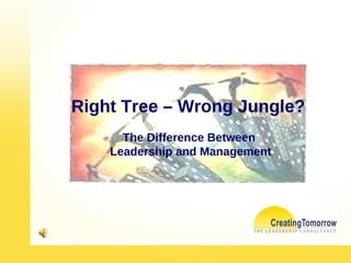 Right Tree – Wrong Jungle?  The Difference Between  Leadership and Management 