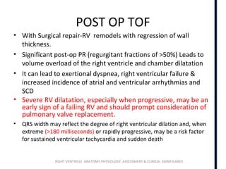 RIGHT VENTRICLE ANATOMY,PHYSIOLOGY, ASSESSMENT & CLINICAL SIGNIFICANCE
POST OP TOF
• With Surgical repair-RV remodels with regression of wall
thickness.
• Significant post-op PR (regurgitant fractions of >50%) Leads to
volume overload of the right ventricle and chamber dilatation
• It can lead to exertional dyspnea, right ventricular failure &
increased incidence of atrial and ventricular arrhythmias and
SCD
• Severe RV dilatation, especially when progressive, may be an
early sign of a failing RV and should prompt consideration of
pulmonary valve replacement.
• QRS width may reflect the degree of right ventricular dilation and, when
extreme (>180 milliseconds) or rapidly progressive, may be a risk factor
for sustained ventricular tachycardia and sudden death
 