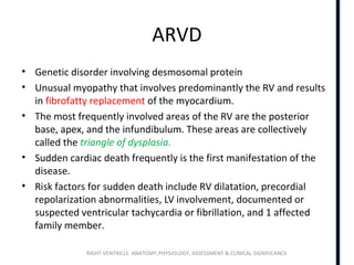 RIGHT VENTRICLE ANATOMY,PHYSIOLOGY, ASSESSMENT & CLINICAL SIGNIFICANCE
ARVD
• Genetic disorder involving desmosomal protein
• Unusual myopathy that involves predominantly the RV and results
in fibrofatty replacement of the myocardium.
• The most frequently involved areas of the RV are the posterior
base, apex, and the infundibulum. These areas are collectively
called the triangle of dysplasia.
• Sudden cardiac death frequently is the first manifestation of the
disease.
• Risk factors for sudden death include RV dilatation, precordial
repolarization abnormalities, LV involvement, documented or
suspected ventricular tachycardia or fibrillation, and 1 affected
family member.
 