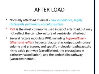 RIGHT VENTRICLE ANATOMY,PHYSIOLOGY, ASSESSMENT & CLINICAL SIGNIFICANCE
AFTER LOAD
• Normally afterload minimal - Low impedance, highly
distensible pulmonary vascular system
• PVR is the most commonly used index of afterload,but may
not reflect the complex nature of ventricular afterload.
• Several factors modulate PVR, including hypoxia(Euler-
Liljestrand reflex), hypercarbia, cardiac output, pulmonary
volume and pressure, and specific molecular pathways,the
nitric oxide pathway (vasodilation), the prostaglandin
pathway (vasodilation), and the endothelin pathway
(vasoconstriction).
 