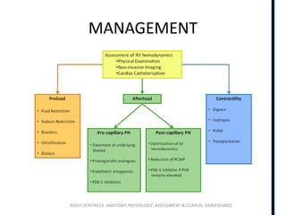 RIGHT VENTRICLE ANATOMY,PHYSIOLOGY, ASSESSMENT & CLINICAL SIGNIFICANCE
MANAGEMENT
 