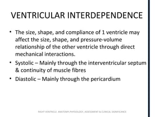 RIGHT VENTRICLE ANATOMY,PHYSIOLOGY, ASSESSMENT & CLINICAL SIGNIFICANCE
VENTRICULAR INTERDEPENDENCE
• The size, shape, and compliance of 1 ventricle may
affect the size, shape, and pressure-volume
relationship of the other ventricle through direct
mechanical interactions.
• Systolic – Mainly through the interventricular septum
& continuity of muscle fibres
• Diastolic – Mainly through the pericardium
 