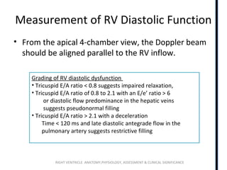 RIGHT VENTRICLE ANATOMY,PHYSIOLOGY, ASSESSMENT & CLINICAL SIGNIFICANCE
Measurement of RV Diastolic Function
• From the apical 4-chamber view, the Doppler beam
should be aligned parallel to the RV inflow.
Grading of RV diastolic dysfunction
• Tricuspid E/A ratio < 0.8 suggests impaired relaxation,
• Tricuspid E/A ratio of 0.8 to 2.1 with an E/e’ ratio > 6
or diastolic flow predominance in the hepatic veins
suggests pseudonormal filling
• Tricuspid E/A ratio > 2.1 with a deceleration
Time < 120 ms and late diastolic antegrade flow in the
pulmonary artery suggests restrictive filling
 