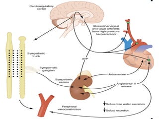 RIGHT VENTRICLE ANATOMY,PHYSIOLOGY, ASSESSMENT & CLINICAL SIGNIFICANCE
 