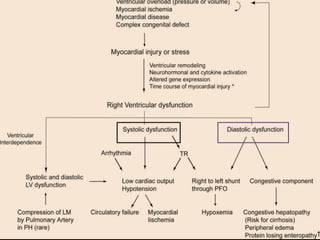 RIGHT VENTRICLE ANATOMY,PHYSIOLOGY, ASSESSMENT & CLINICAL SIGNIFICANCE
 