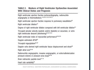 RIGHT VENTRICLE ANATOMY,PHYSIOLOGY, ASSESSMENT & CLINICAL SIGNIFICANCE
 