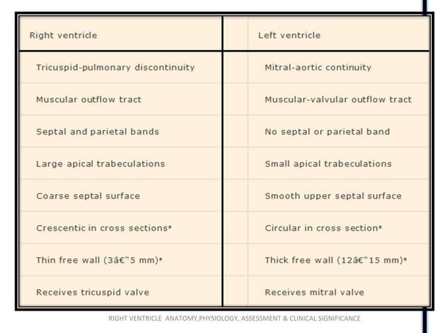 Right ventricle (RV) anatomy and functions | PPT | Heart and ...