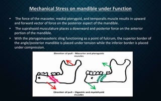Semi Rigid Fixation Examples Rigid internal fixation | PPTX