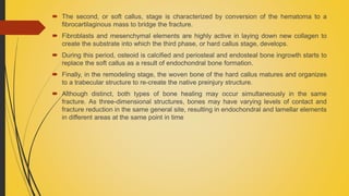  The second, or soft callus, stage is characterized by conversion of the hematoma to a
fibrocartilaginous mass to bridge the fracture.
 Fibroblasts and mesenchymal elements are highly active in laying down new collagen to
create the substrate into which the third phase, or hard callus stage, develops.
 During this period, osteoid is calcified and periosteal and endosteal bone ingrowth starts to
replace the soft callus as a result of endochondral bone formation.
 Finally, in the remodeling stage, the woven bone of the hard callus matures and organizes
to a trabecular structure to re-create the native preinjury structure.
 Although distinct, both types of bone healing may occur simultaneously in the same
fracture. As three-dimensional structures, bones may have varying levels of contact and
fracture reduction in the same general site, resulting in endochondral and lamellar elements
in different areas at the same point in time
 