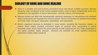 BIOLOGY OF BONE AND BONE HEALING
 Bone is a complex and ever-evolving connective tissue and serves multiple purposes. Besides
being the main constituent of the human skeletal system, bone is highly metabolically active and
essential for the regulation of serum electrolytes—namely, calcium and phosphate.
 Marrow cavities are filled with hematopoietic elements necessary to manufacture and maintain
blood components and regulate the immune system. Bone is comprised of calcified bone matrix
and three major cell types, osteocytes, osteoblasts, and osteoclasts.
 Bone’s organized structure is illustrated in cross section revealing the haversian system, or
osteon. Each osteon contains concentric layers of compact bone surrounding a central
haversian canal, which harbors the neurovascular bundle supplying the unit. Cells suspended in
this highly calcified, highly vascular structure are perfused via small capillary-containing
cylindrical cavities called canaliculi
 
