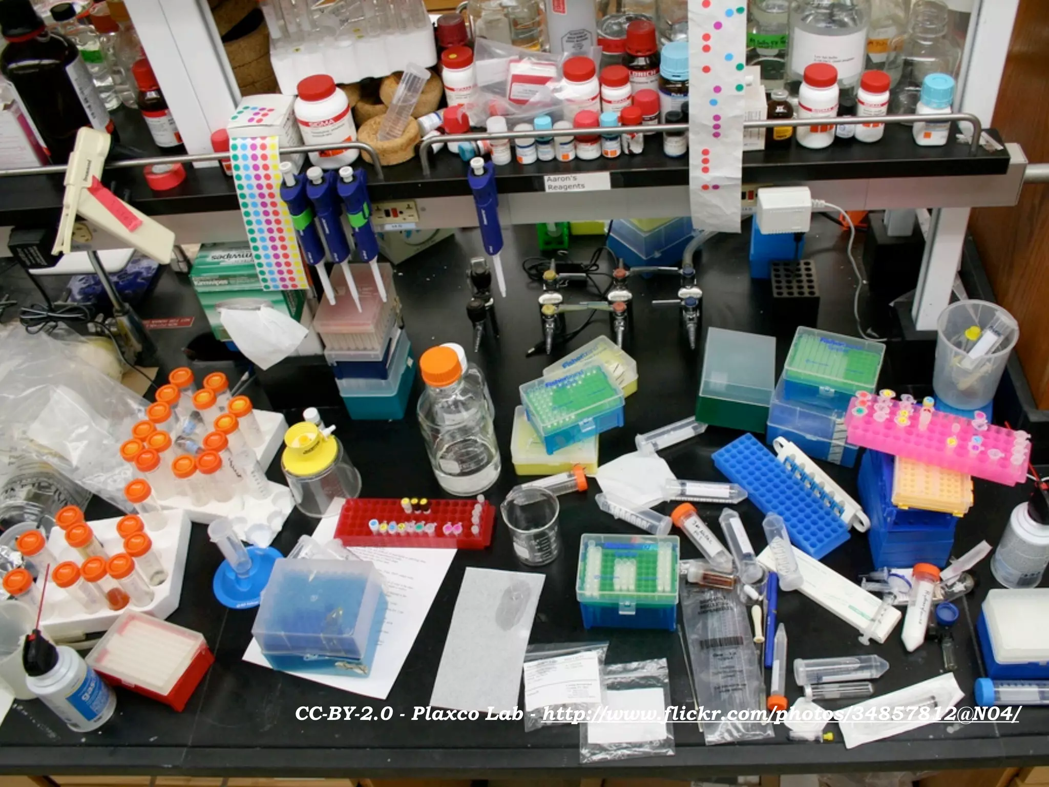 CC-BY-2.0 - Plaxco Lab - http://www.flickr.com/photos/34857812@N04/
 