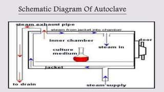 Autoclave | PPTX