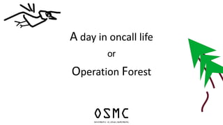 A day in oncall life
or
Operation Forest
 