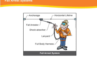 Fall Arrest Systems
 